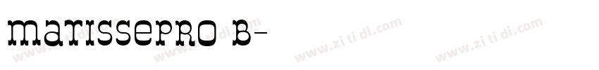 matissepro b字体转换
